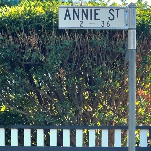 Annie St street sign
